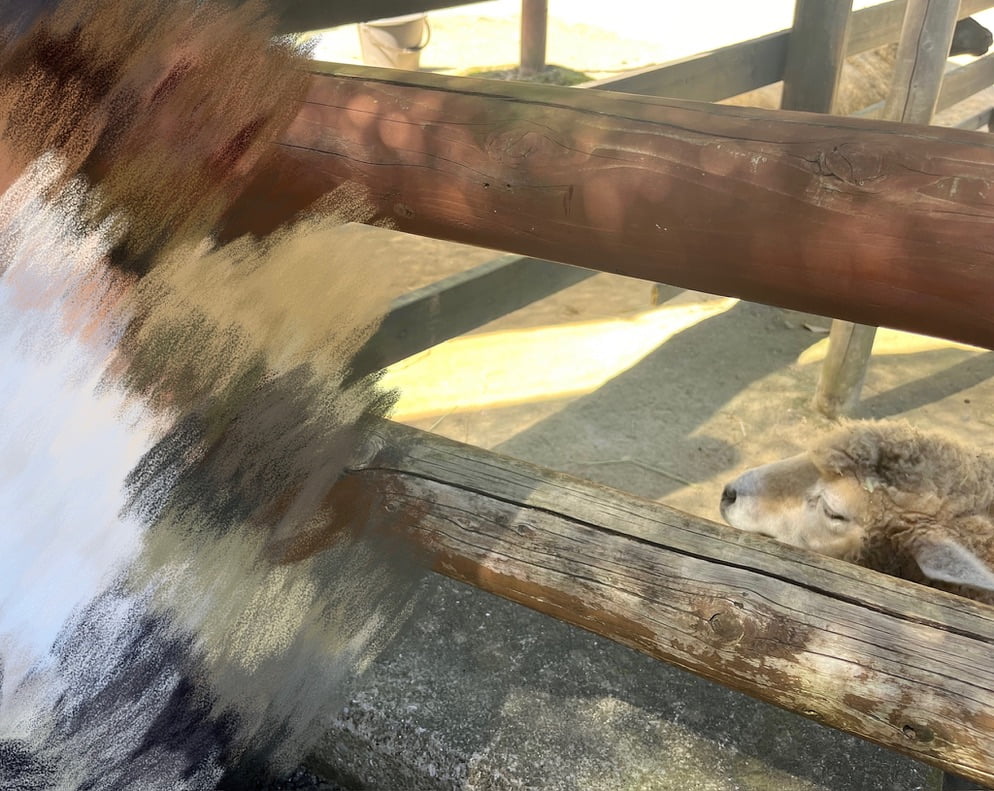 金沢動物園内のほのぼの広場